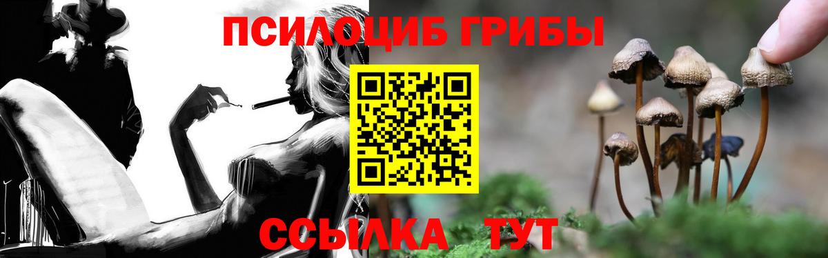 Псилоцибиновые грибы Cubensis  Псилоцибиновые грибы MAGIC MUSHROOMS  Вход с VPN  Ростов Великий 
